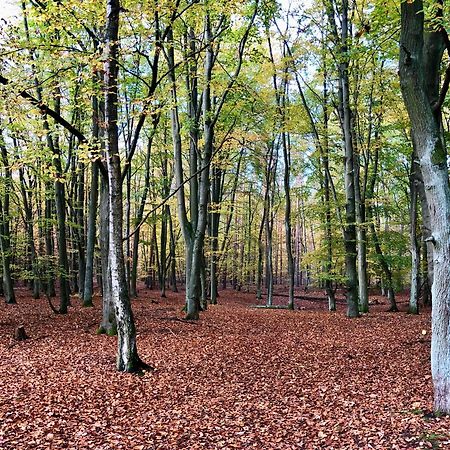 Berlin Apartment - Naturnah & Startklar Eichwalde Esterno foto