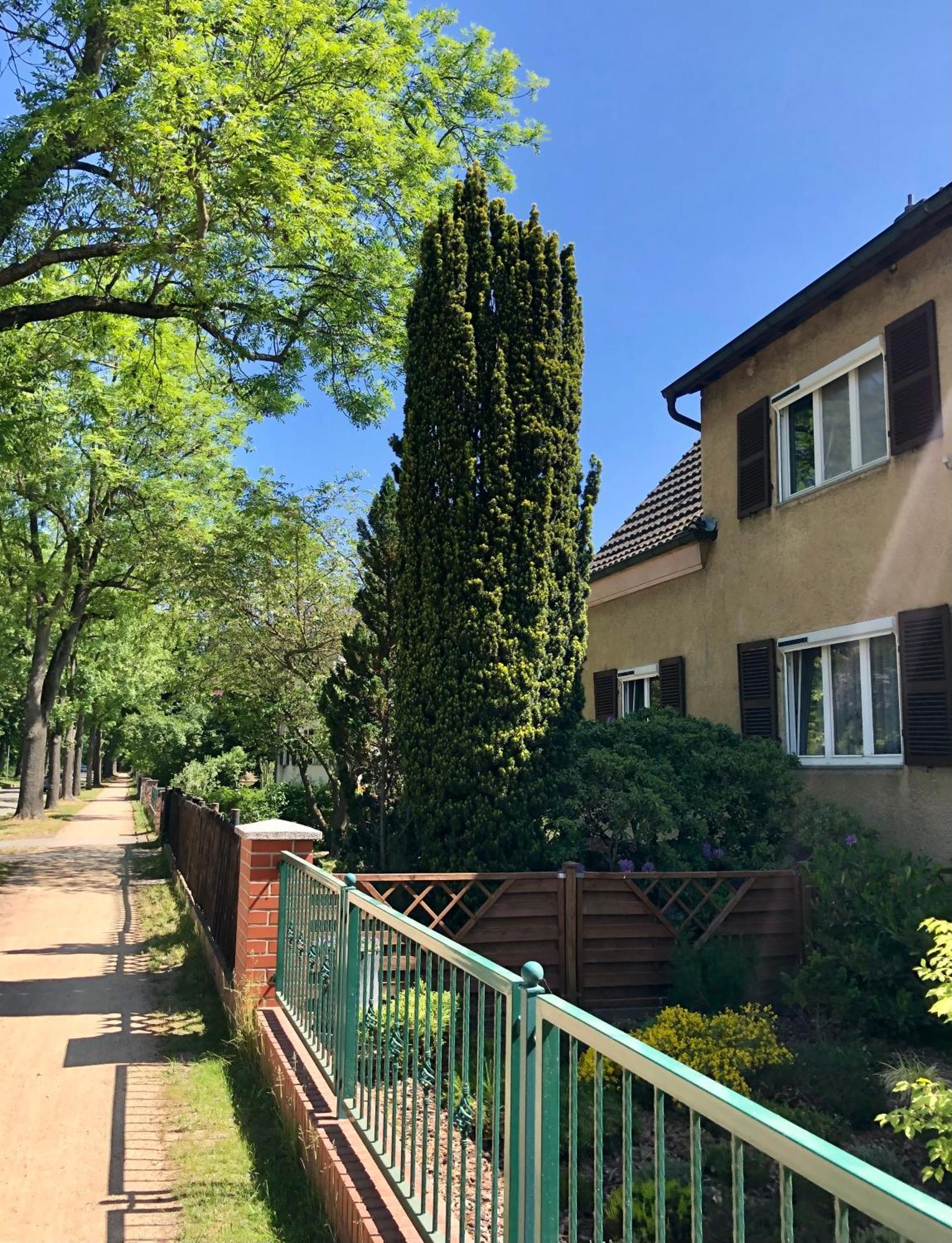 Berlin Apartment - Naturnah & Startklar Eichwalde Esterno foto